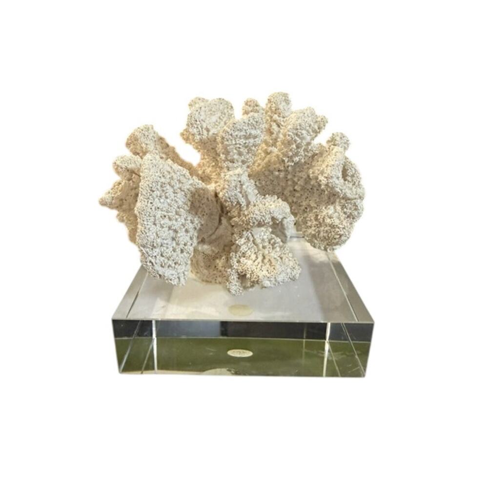 Faux Coral Reef Sculpture Coastal Beach Decor On Glass Base White - Picture 2 of 4